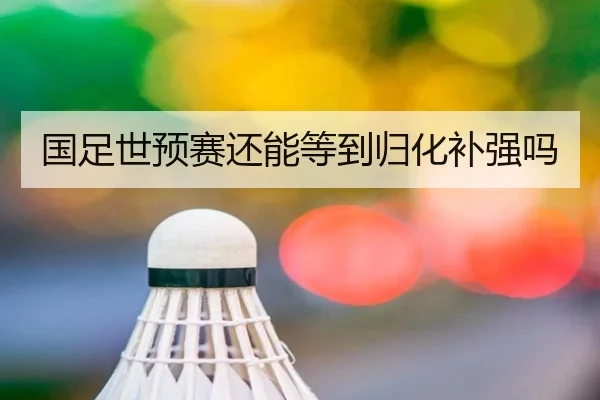 国足世预赛还能等到归化补强吗